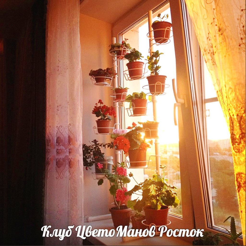 разборная подставка на пол и на окно металлическая. Фото N24