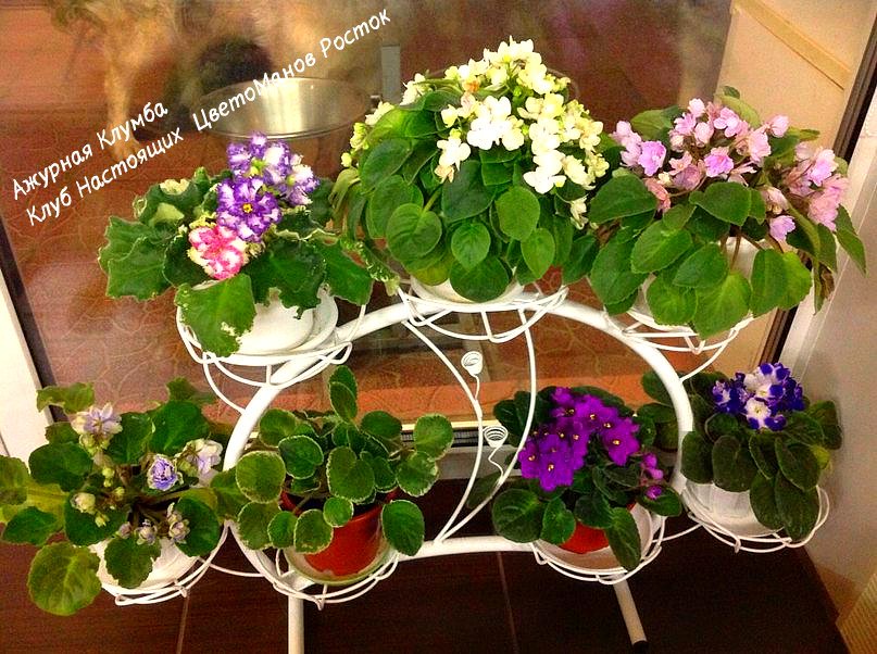 Подставка для цветов металлическая наоконная. Фото N13